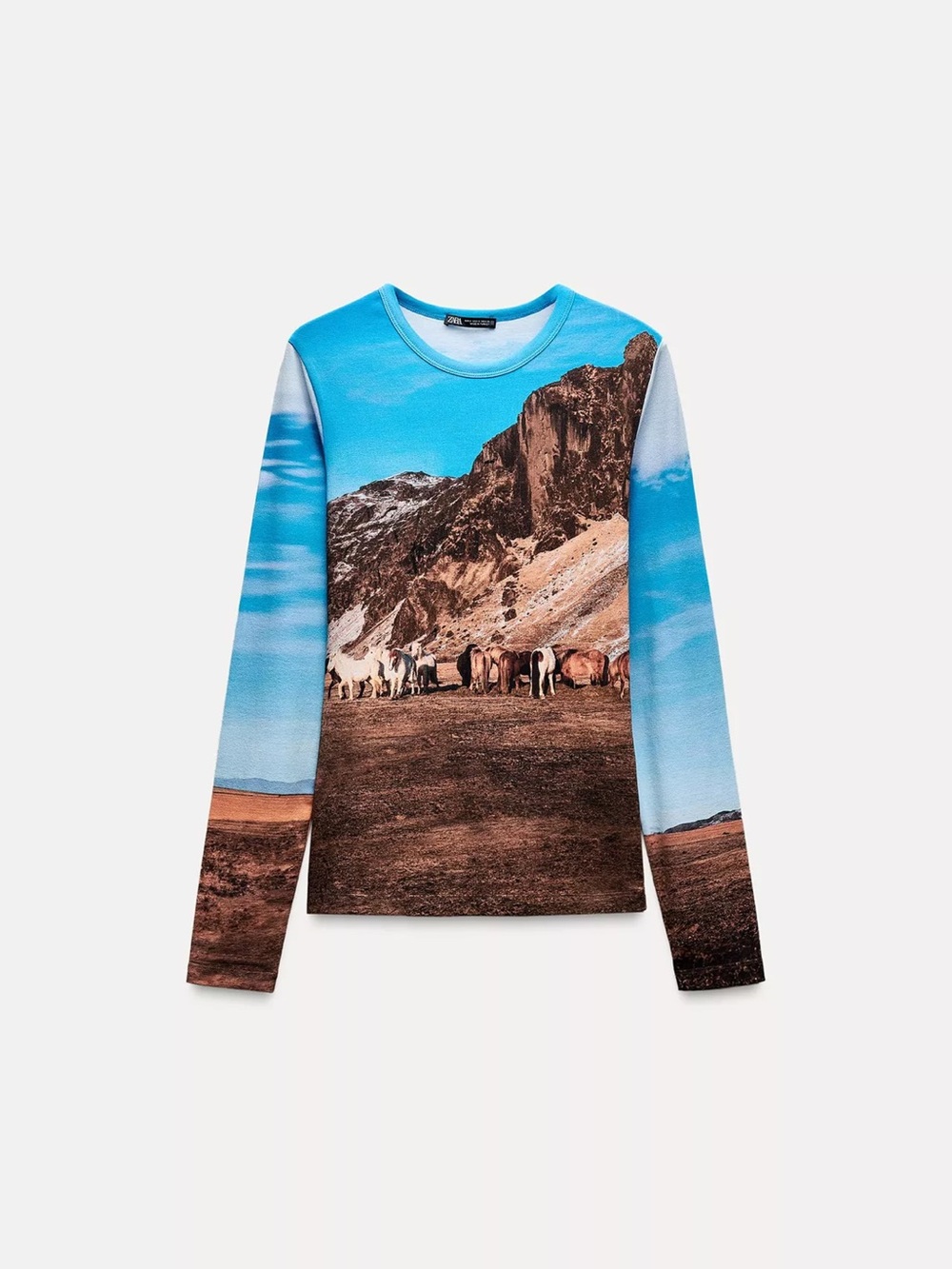 Zara Scenic Horses Long-Sleeve Tee - Blue/Brown, NWT, M